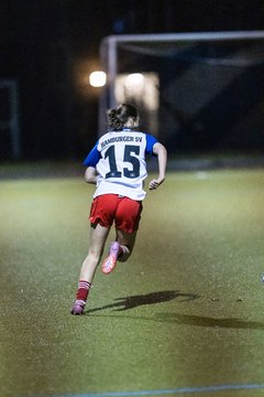 Bild 352 - F SC Alstertal-Langenhorn - Hamburger SV 3 : Ergebnis: 2:2